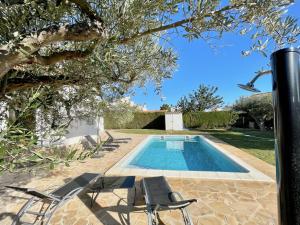 a swimming pool with two lounge chairs and a tree at Villa Cabrera in L'Ampolla