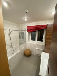 a bathroom with a shower and a tub and a sink at Apartman Poustevnik in Pec pod Sněžkou