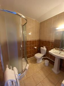W łazience znajduje się prysznic, toaleta i umywalka. w obiekcie Gîte de groupe proche du Château w mieście Villandry