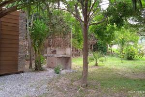 un árbol en un patio al lado de un edificio en Monoambiente con jardín a una cuadra de la playa, en Colonia del Sacramento