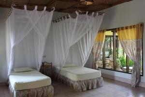 two beds in a room with curtains and a window at Ecolodge Bukit Lawang in Bukit Lawang