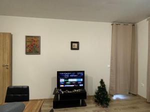a living room with a christmas tree and a television at Apartment E23 Borovets Gardens in Borovets