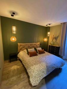 a bedroom with a large bed with green walls at Bienvenue à l'Appart' de Louis ! in Dole