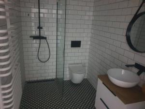 a bathroom with a shower and a toilet and a sink at Apartament Słoneczny Sienkiewicza 3A in Leszno