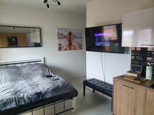 a bedroom with a bed and a flat screen tv at Apartament Słoneczny Sienkiewicza 3A in Leszno