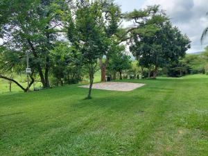 a park with a tree in the middle of a field at Rockview Lodge in Nelspruit