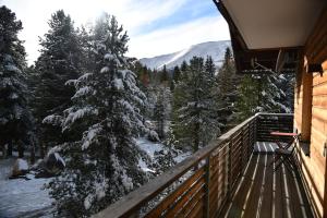 a balcony with a view of a snow covered tree at Serpentin Apartment in Turracher Hohe