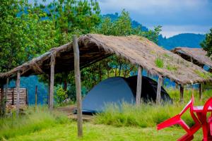 Tenda con tetto di paglia su un campo di Kitabi EcoCenter a Gabegi