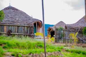 Kitabi EcoCenter外面的花园