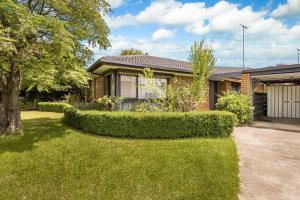 a house with hedges in front of a yard at Spacious 4 bedroom Geelong Home in Belmont