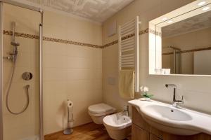 Un baño con lavabo, inodoro y ducha. en Appartements Hofer, en San Giacomo