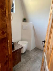 Baño pequeño con aseo y lavamanos en Hidden Cabin en Brezoi