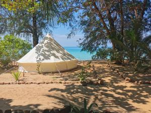 une tente sur une plage de sable près de l'océan dans l'établissement Sleeping Trees, à Koh Rong Sanloem