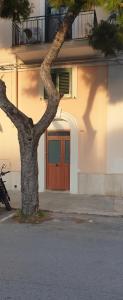 un albero di fronte a un edificio con una porta di Casetta di Gaia a Monopoli Altre 8 foto