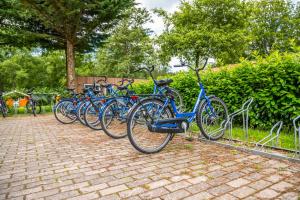 Una fila de bicicletas estacionadas una al lado de la otra. en Comfort Rooms by EuroParcs Het Amsterdamse Bos, en Amstelveen