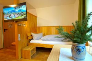 TV a/nebo společenská místnost v ubytování Hotel Waldmann