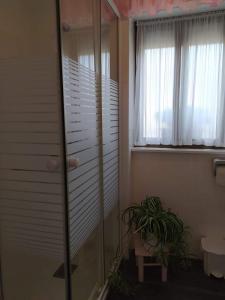 a bathroom with a glass shower and a plant at LA GRANDA DE LA CONCHA in Nueva de Llanes +55 photos