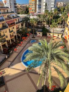 a resort with a palm tree and a swimming pool at DREAMY SUNSET, SeaFront, Direct Access To The Promenade,Wifi,Free Parking in Los Cristianos