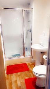 a bathroom with a shower and a toilet and a sink at Solonzo apartment in North Woolwich