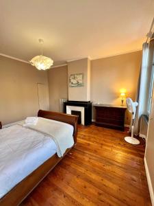 a bedroom with a bed and a fireplace and a desk at Carcassonne Bastide in Carcassonne