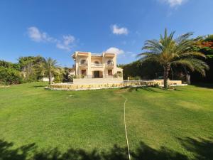 Villa elzaher في Qaryat Shākūsh: منزل كبير على حقل أخضر مع أشجار النخيل