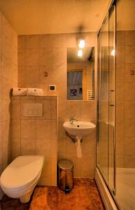 a bathroom with a toilet and a sink and a shower at Dom Wypoczynkowy U Kubusia in Białka Tatrzanska