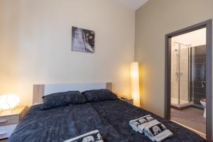 een slaapkamer met een groot bed en een douche bij Wiky's Apartman with 3bathrooms in Boedapest