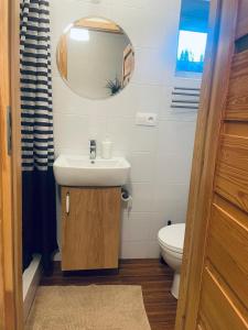 a bathroom with a sink and a mirror and a toilet at Penzion Rima in Zuberec