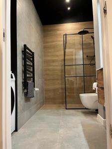 W łazience znajduje się prysznic, umywalka i toaleta. w obiekcie Apartamenty na Poddaszu- Tatarska 4 w mieście Przemyśl