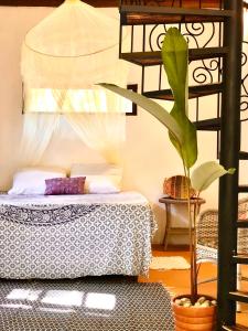 a bedroom with a bed and a plant in a room at Gaia Eco Glamping - Instituto Almas Livres in Arraial d'Ajuda