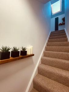 a staircase with three plants on a shelf at Stylish, Comfortable Coach House in Falmouth