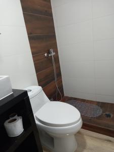 een badkamer met een wit toilet en een wastafel bij Cabañas y Departamentos Las Palmas, Temuco Depto 1 in Temuco