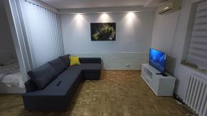 a living room with a couch and a flat screen tv at Trgovacka Zarkovo - Apartman in Žarkovo