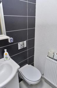 een badkamer met een wit toilet en een wastafel bij Dolce Casa 2 in Lupeni