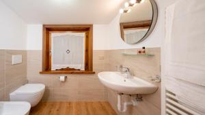 リヴィーニョにあるBait dal Nono Filipのバスルーム(洗面台、トイレ、鏡付)