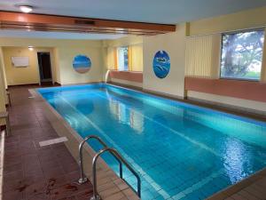 a large swimming pool with blue water in a building at Appartement am See mit Pool und Sauna in Melide