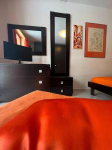 a bedroom with a bed and a tv and a mirror at Calda e accogliente Limone in Limone Piemonte