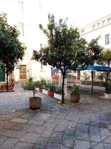 Bygningen som lejligheden ligger i + 31 billeder