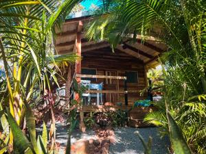una cabaña de madera en la selva con palmeras en Glamping Hotel Flor y Bambu en Playa Grande