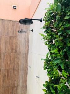 a shower with a hose next to a hedge at casa amar guaibim in Guaibim