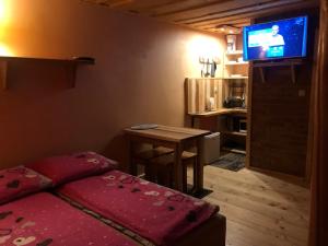 um quarto com uma cama e uma televisão na parede em Pokoje u Adama Grajoka em Szczawnica