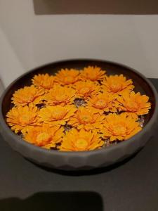 een bos gele bloemen in een pan op een fornuis bij Ebelle Ebonne 