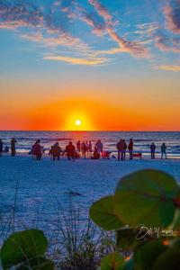 Tropical Paradise Oasis Spa Retreat في لارغو: مجموعة من الناس تقف على الشاطئ عند غروب الشمس
