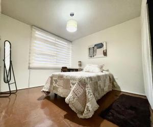 Postel nebo postele na pokoji v ubytování Amplio departamento céntrico