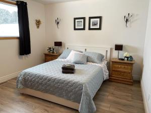 um quarto com uma cama e duas mesas de cabeceira em The North Escape Cozy 3 bedroom house Great location em Sault Ste. Marie