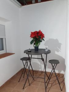 a small table with a vase of red flowers on it at Apartamento C in Madrid