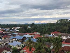 eine Stadt mit Häusern und Palmen in einer Stadt in der Unterkunft Homestay Bandar Temerloh Wi-Fi Netflix Smart TV in Temerloh
