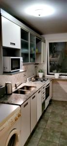 cocina con fregadero y microondas en Teodoro's Home en Buenos Aires