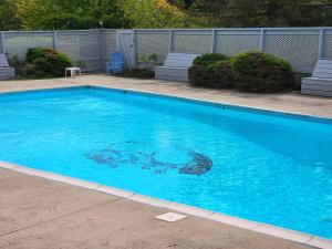 Piscina di The Davis Ridge o nelle vicinanze