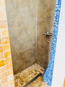 y baño con ducha con cortina azul. en La Villa des Coteaux - Proche Centre-ville, en Lieja